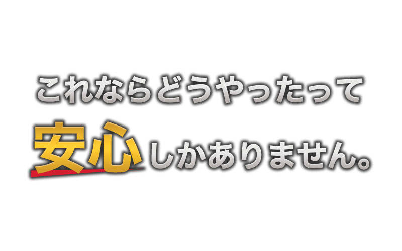 これならどうやったって安心しかありません。